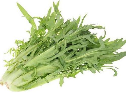 蔬菜品種:苦麥菜