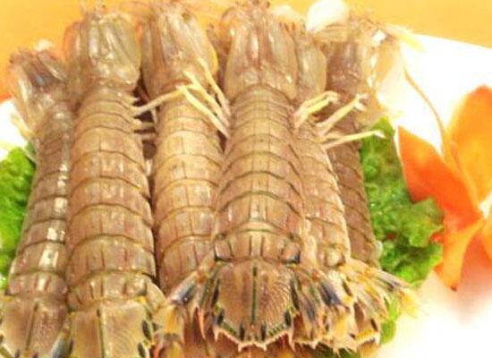 鮮活水產(chǎn)類：瀨尿蝦/皮皮蝦