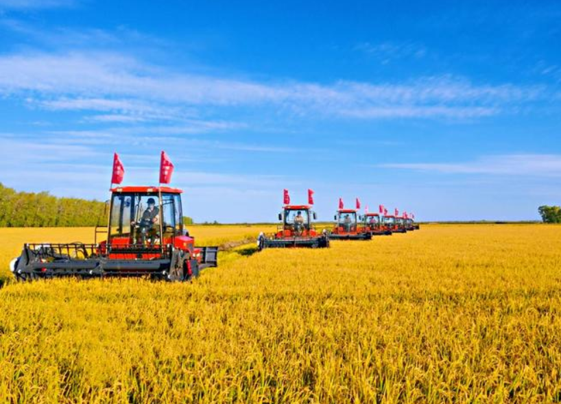 農(nóng)產(chǎn)品配送公司為您分享報(bào)道：今年全年糧食有望再獲豐收