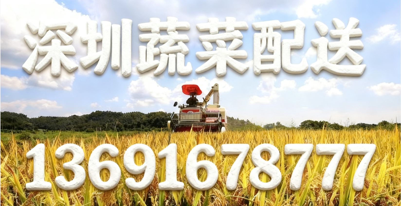 東莞蔬菜配送中心?解讀:“十五五” 怎么讓大家吃得更穩(wěn)、更優(yōu)？