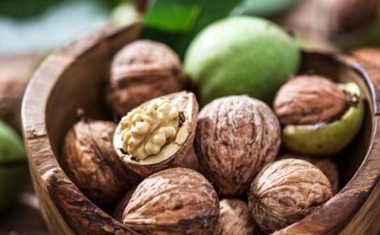為什么核桃被稱為“長壽果”？東莞生鮮食材配送中心告訴你