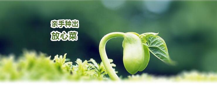 1759194831.jpg gongsiwenhua.jpg