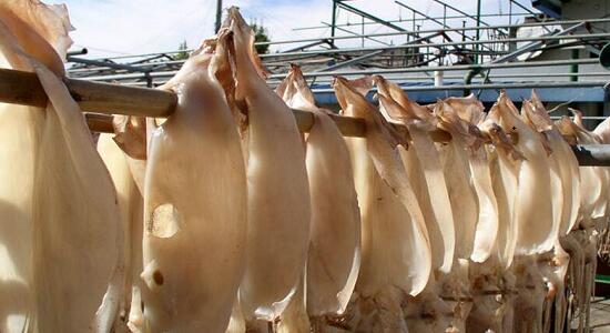 1760259668.jpg tupian_youyu1.jpg